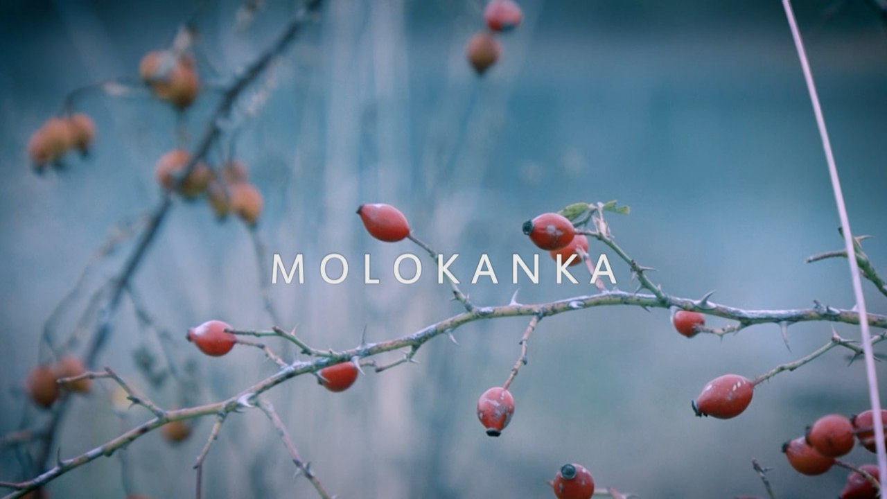 Премьера документального фильма Молоканка
